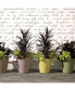 Фото #3 товара Madison Planter Plant Pot 14 Inch Caviar Black