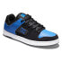 DC SHOES Manteca 4 ADYS100765 trainers