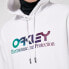 Фото #6 товара OAKLEY APPAREL Rider Long 2.0 hoodie