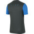 Фото #2 товара Nike Dry Academy PRO TOP SS Jr BV6947 062 training shirt