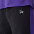 Фото #3 товара NEW ERA Los Angeles Lakers NBA Large Graphic joggers