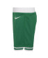 ფოტო #2 პროდუქტის Toddler Boys and Girls Kelly Green Boston Celtics Icon Replica Shorts