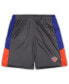 ფოტო #1 პროდუქტის Men's Gray New York Knicks Big and Tall Shorts