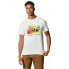 ფოტო #1 პროდუქტის MOUNTAIN HARDWEAR 1993 Bear short sleeve T-shirt