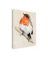 Фото #2 товара Jennifer Paxton Parker Little Bird on Branch IV Canvas Art - 15" x 20"