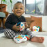 Baby toy Baby Einstein