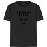 ფოტო #7 პროდუქტის NEW ERA NBA Regular Chicago Bulls short sleeve T-shirt