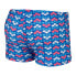 Фото #2 товара ARENA Friends Allover Swim Boxer 15 cm