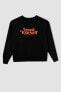 Regular Fit Bisiklet Yaka Sweatshirt Kumaşı Sweatshirt