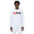 DIESEL Ginn hoodie