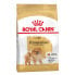 Фото #1 товара ROYAL CANIN Pomeranian Adult 500 g Dog Food