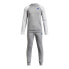 Фото #2 товара UNDER ARMOUR Rival Fleece tracksuit