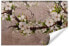 Fototapete Kirschblüten BLUMEN Beton