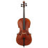 Gewa Maestro 31 Cello 4/4