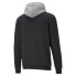 PUMA Block Emb hoodie