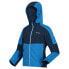 Фото #4 товара REGATTA Acidity VI jacket