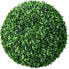 Фото #1 товара Künstliche Pflanze Boxwood