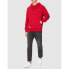 SUPERDRY Code SL Essential hoodie