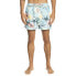 QUIKSILVER Garden Path 15 Swimming Shorts