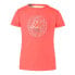 ფოტო #1 პროდუქტის KAPPA BTS Bessya 2 short sleeve T-shirt