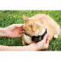 Кошачий ошейник PetSafe Prf-3004xw-20