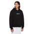 DICKIES Enterprise hoodie