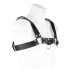 Фото #1 товара Bodyharness