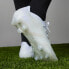 Фото #9 товара Бутсы adidas Predator Accuracy.1 Low Firm Ground Boots (Белые)