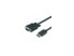 Фото #1 товара VisionTek 901216 DisplayPort to VGA 6ft.(2 Meter) Cable (M/M)