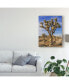 Rachel Perry Views of Joshua Tree III Canvas Art - 15" x 20"