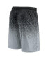 Фото #2 товара Men's Black/Silver Las Vegas Raiders Ombre Shorts