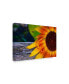 American School Sunflower Close Up Canvas Art - 15" x 20"