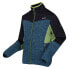 REGATTA Coladane VI fleece