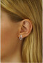 Фото #2 товара Gentle silver earrings with zircons QRE001K