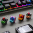 Фото #8 товара Ducky x Hot Keys Project Ducky League Keycap - Aqua Duck