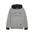 Фото #1 товара PUMA Jaws Core hoodie