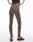 Topshop Tall leopard print legging in brown