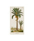 Фото #1 товара Turpin Turpin Exotic Palms IV Canvas Art - 20" x 25"