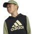 Фото #8 товара ADIDAS Big Logo Colorblock hoodie