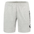 Фото #1 товара SUPERDRY Code Sl Applique Boy shorts