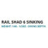 SALMO Rail Shad Sinking Minnow 60 mm 14g