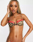 Wild Lovers Margot printed underwired bra with contrast lace trim in animal print