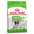 ROYAL Mature +8 Xsmall 1.5kg Dog Food