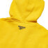 Фото #2 товара [EC5803] Mens Reebok Classics Vector Hoodie