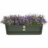 Фото #4 товара Ящик для цветов Elho Planter 50 см Черный Пластик