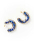 ფოტო #1 პროდუქტის Sodalite Earrings