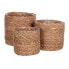 Фото #2 товара MICA DECORATIONS 83247 Wicker Basket 3 Units