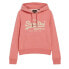 Толстовка Superdry Embroidered Vl Graphic Coral Red Marl Coral Red Marl, S - фото #2