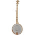 Фото #1 товара Deering Goodtime Deco Banjo