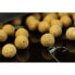 STICKY BAITS Manilla Dumbells 130g Wafters